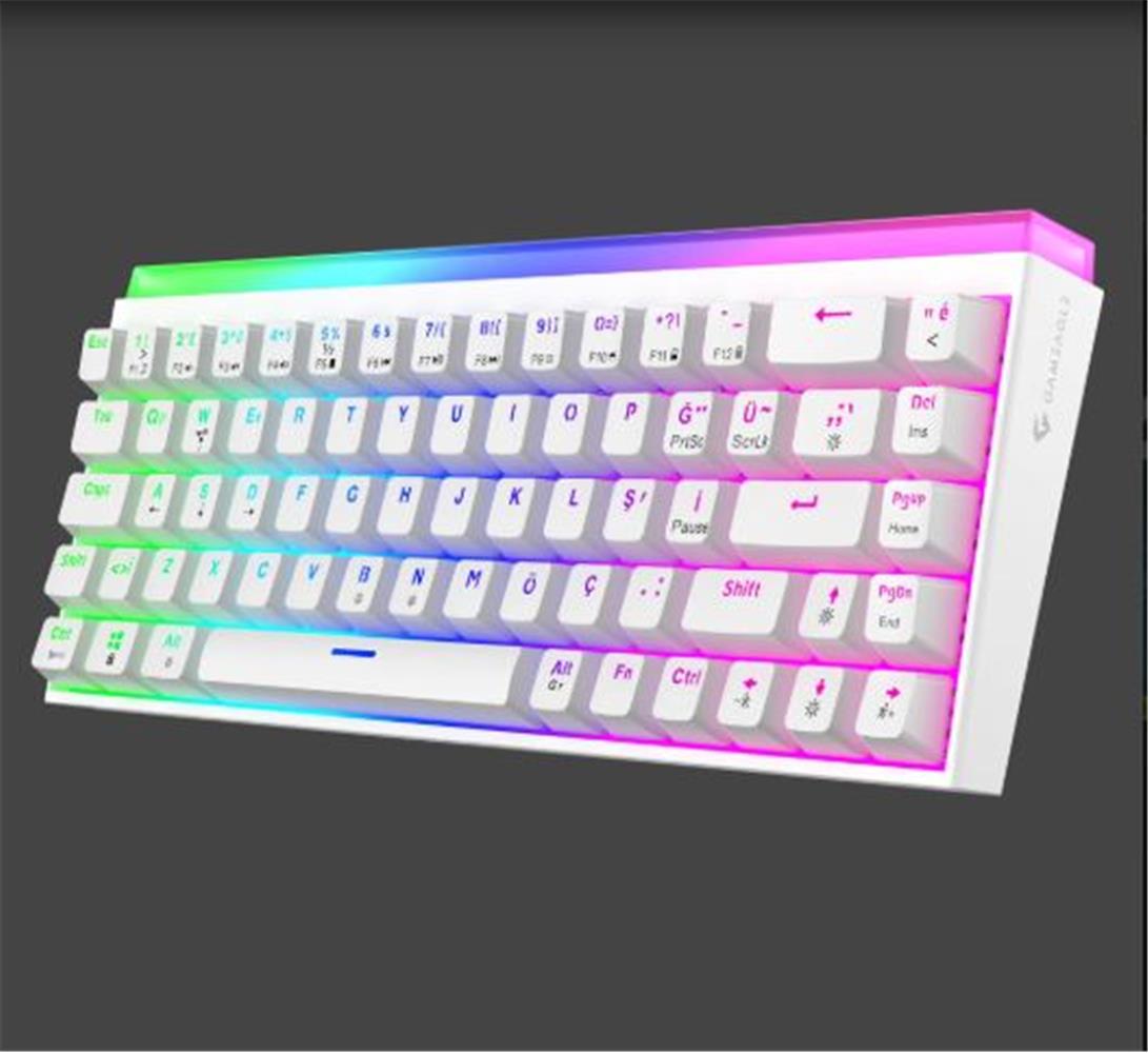 Gameagle GE2019 Hera RGB Kablolu Tr Layout Mekanik Beyaz Oyuncu Klavyesi 