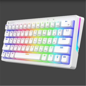 Gameagle GE2015 Poseıdon RGB Kablolu Us Layout Mekanik Beyaz Oyuncu Klavyesi 